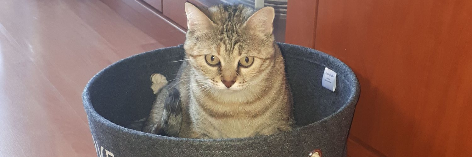 M. Àngels Rodriguez banner