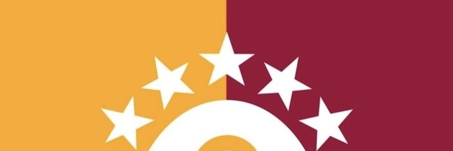 the_lion_king banner