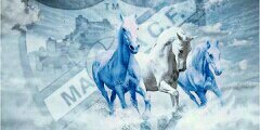 MALAGUEÑO banner