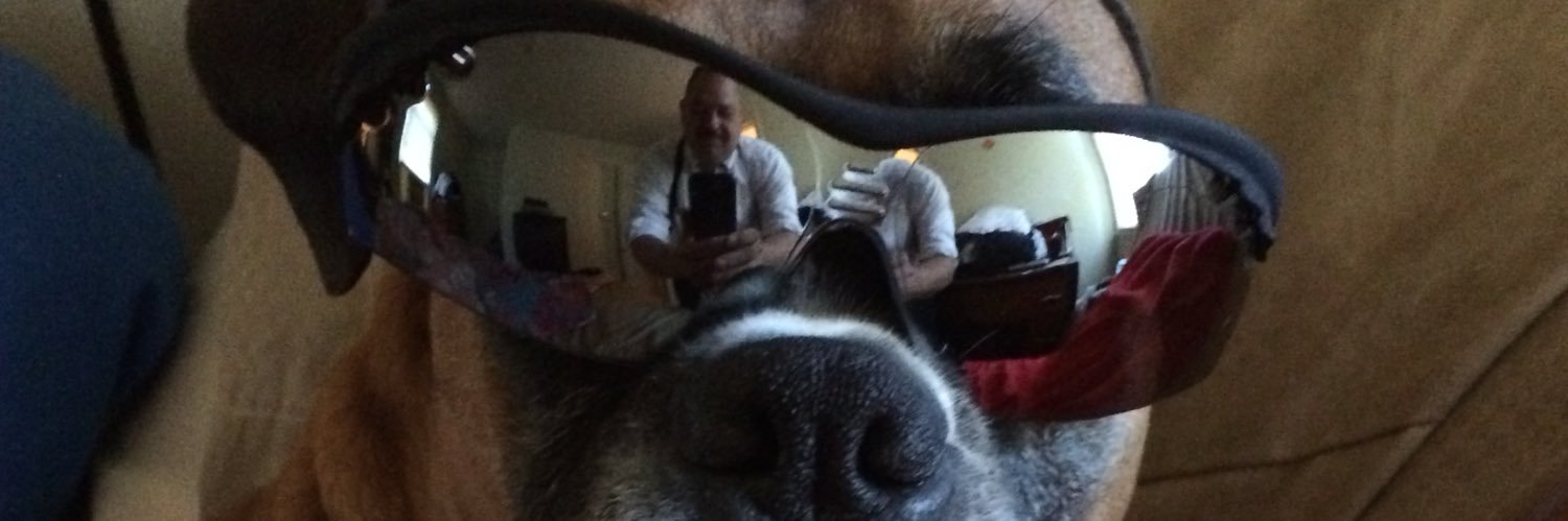 Bigdogdch's profile banner image