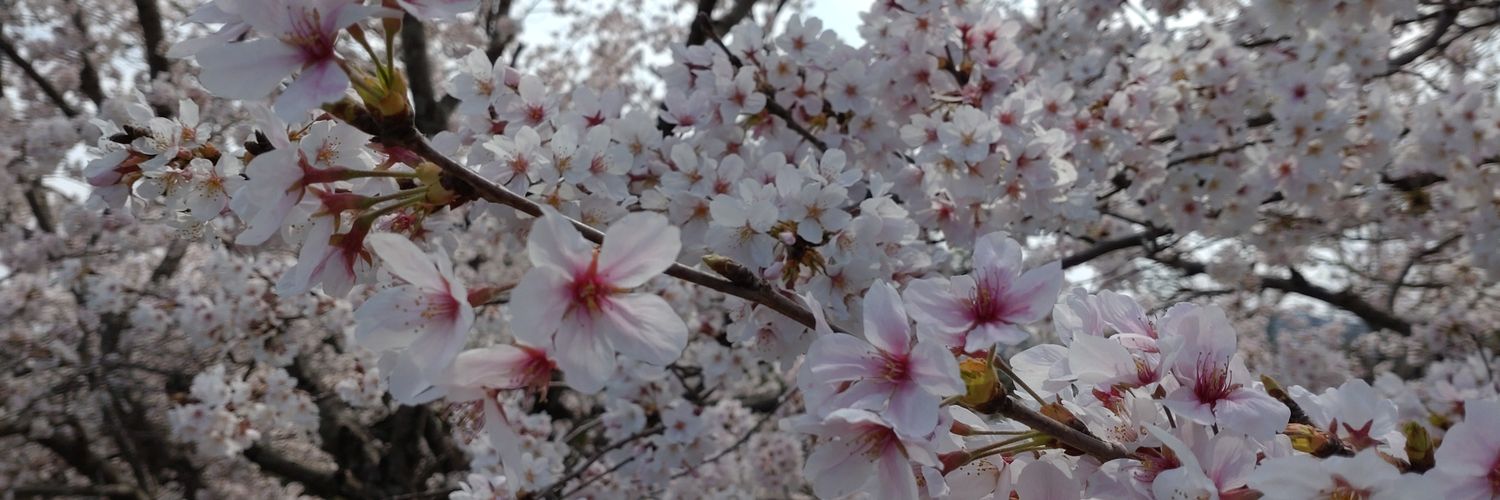 aiya_127's profile banner image