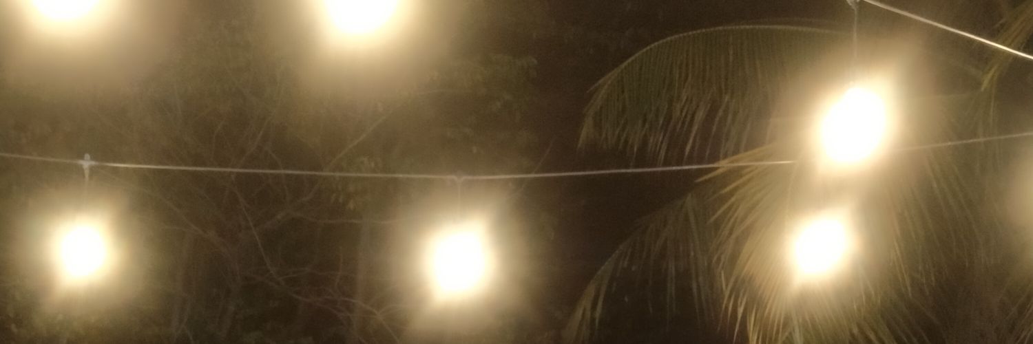 TLIDLyonin's profile banner image