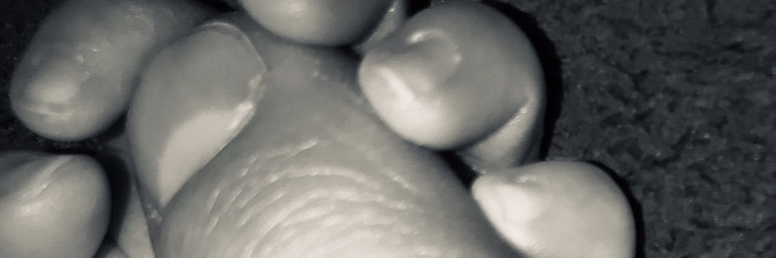 daniydice's profile banner image
