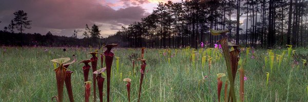 fsubio Profile Banner