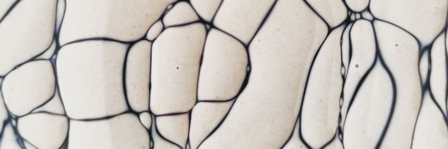 birbeginoglu's profile banner image