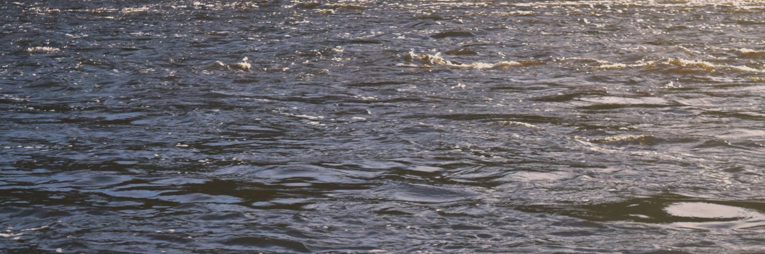 cassandrayooo's profile banner image