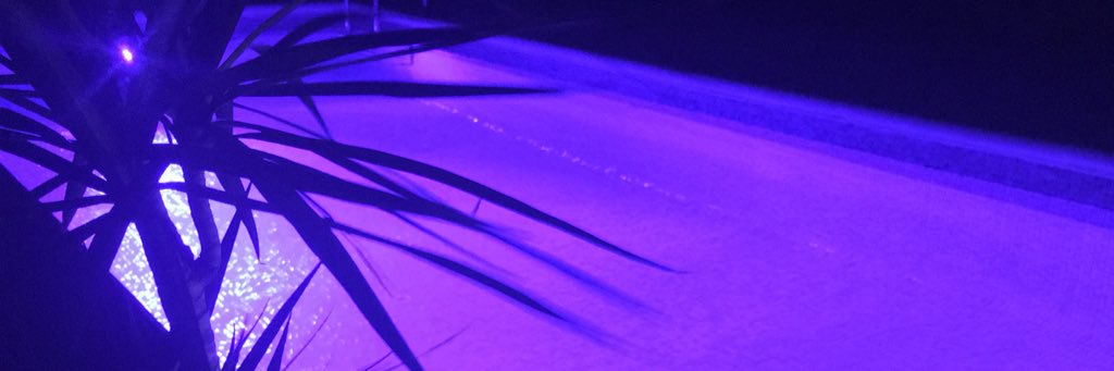 yanirenet2's profile banner image