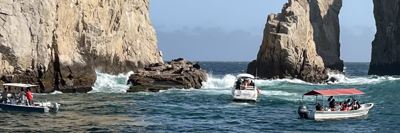 Lori Wimbush, Ed.D. banner