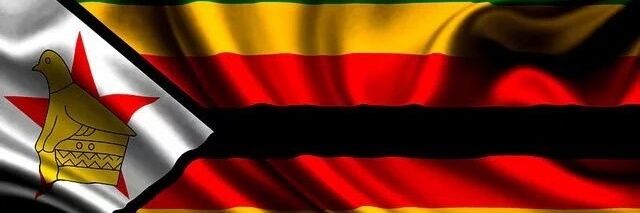 Shumba banner