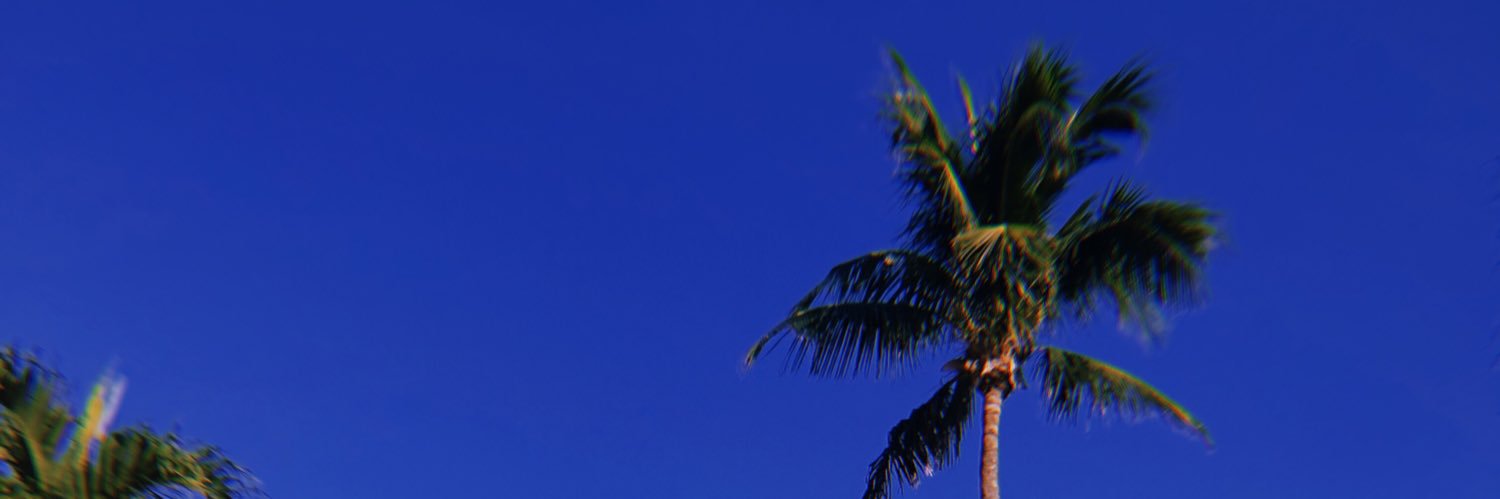 raineylancaster's profile banner image