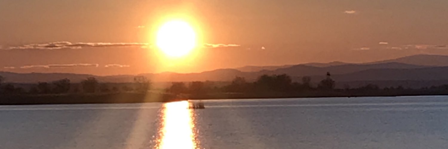 gmnitzsche's profile banner image