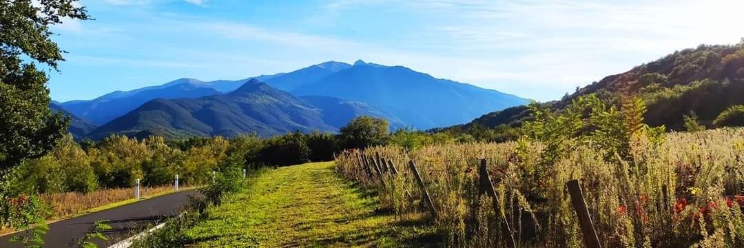 𝕕𝕖𝔽𝕆𝕔𝕒𝕞𝕒 banner