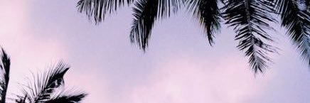 Anggi Fadhilah P banner
