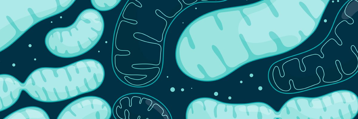 NatRevNeurosci's profile banner image