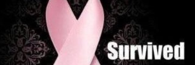 StephanieManry's profile banner image