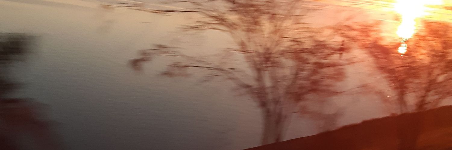 geiosilva2015's profile banner image
