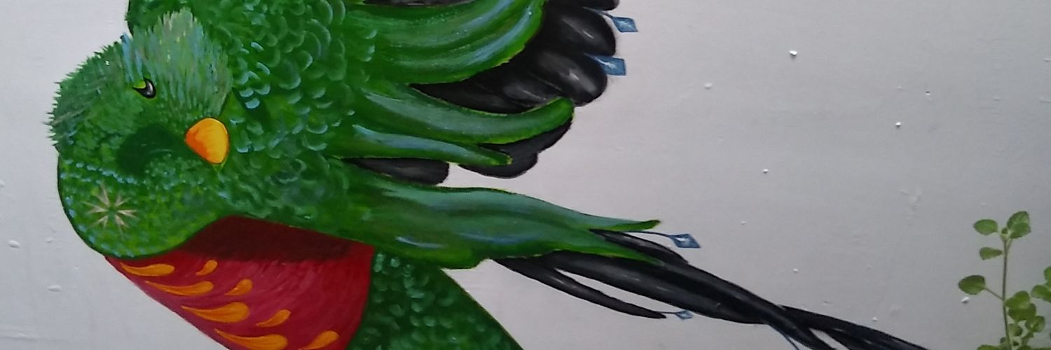 Quiahui3's profile banner image