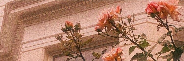 baahh_x's profile banner image