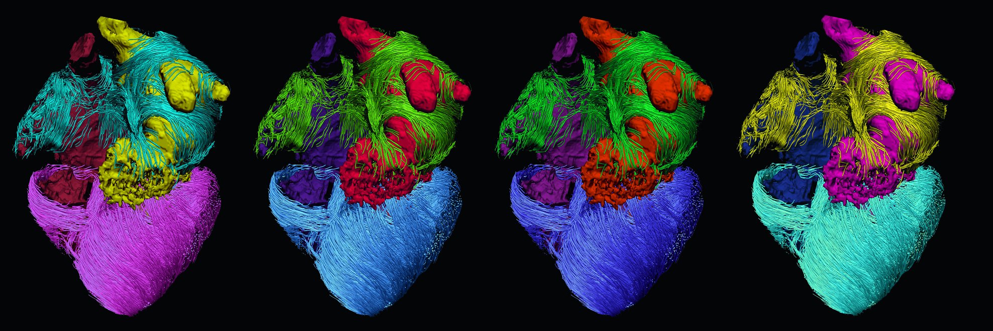 Nature Reviews Cardiology's banner