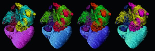 NatRevCardiol Profile Banner