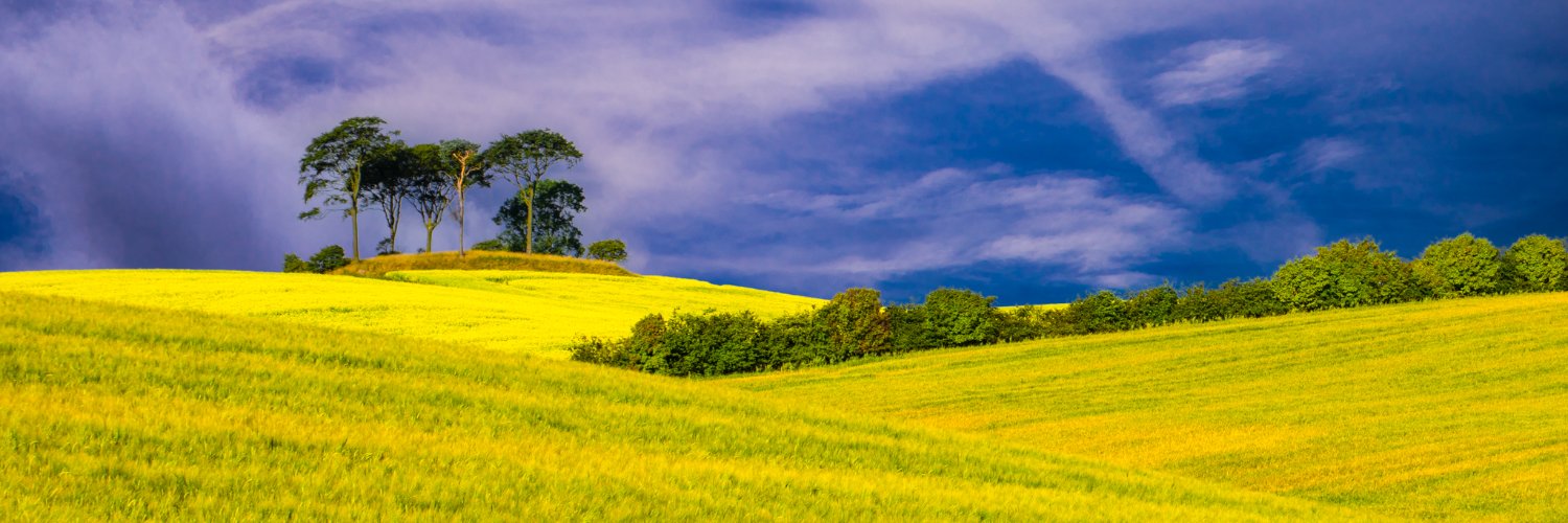 McBrian55's profile banner image