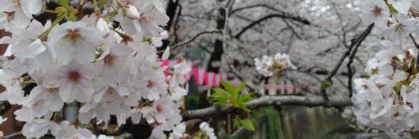 SylviaDuerr Profile Banner