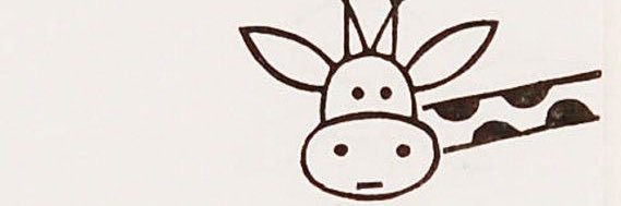 napaupitz's profile banner image