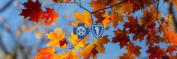 BCBSM Profile Banner