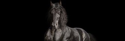 aaabbb111551's profile banner image