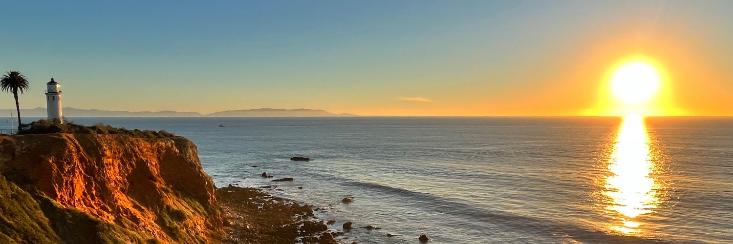 Alexis Chidi, MD PhD banner