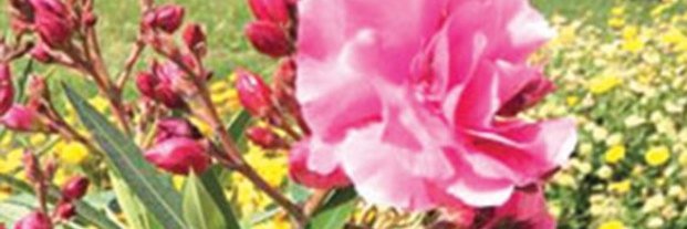 B665V's profile banner image