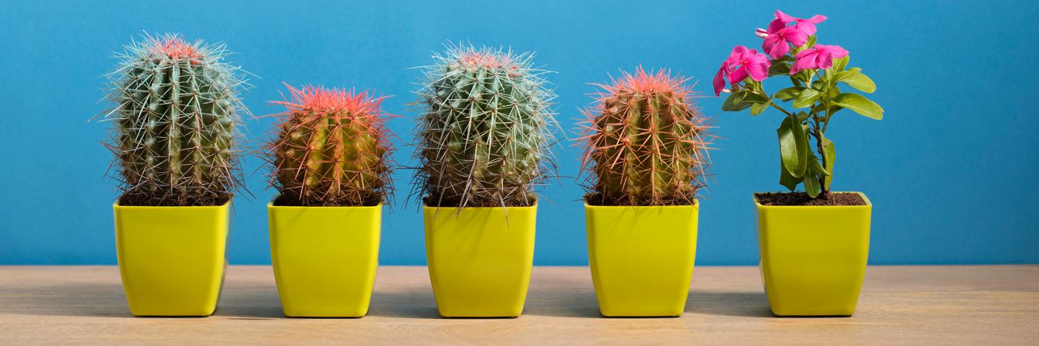 HuffPost UK Life banner