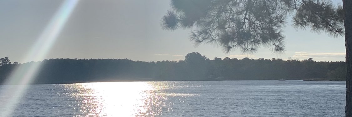 CarolCheck's profile banner image