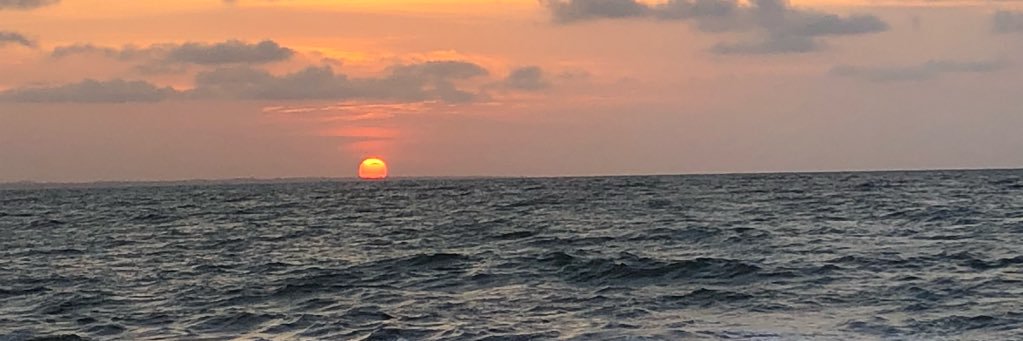 raecheverrit's profile banner image