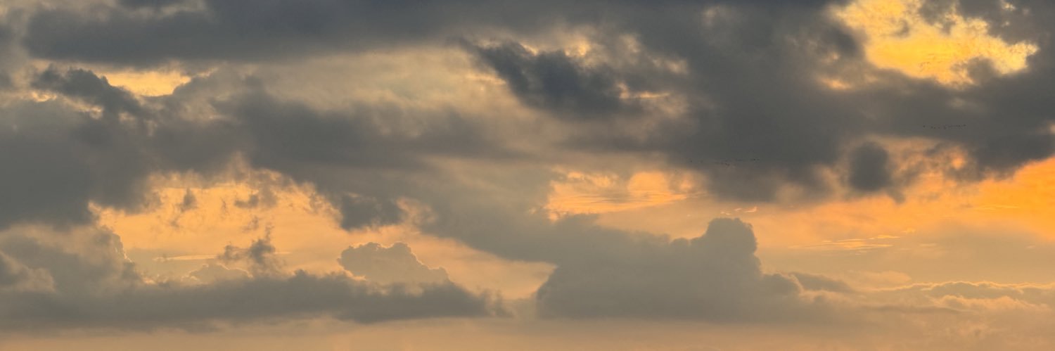 gesmundoo's profile banner image