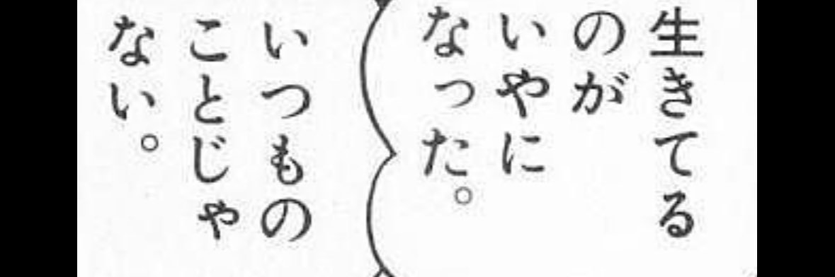 しぃ𐔌՞･·･՞𐦯♥ぴぷ banner