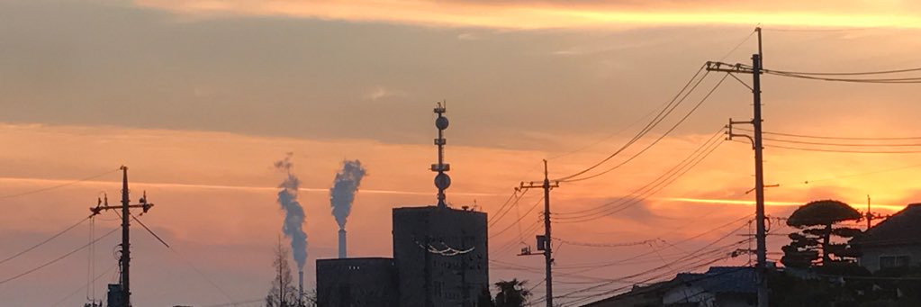 liptonmMT's profile banner image