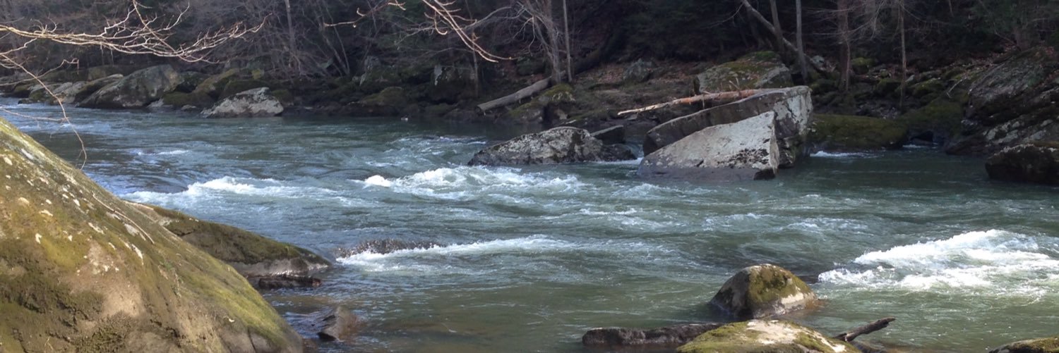 sarah_carner's profile banner image