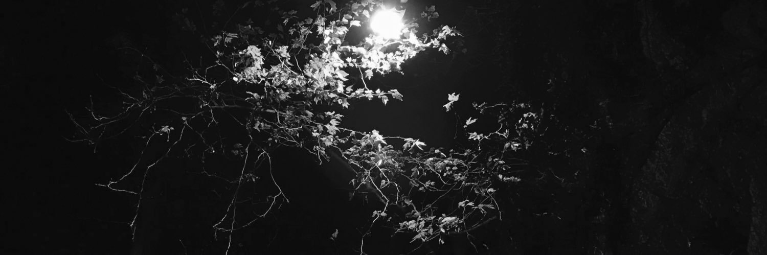 furkanbas_'s profile banner image