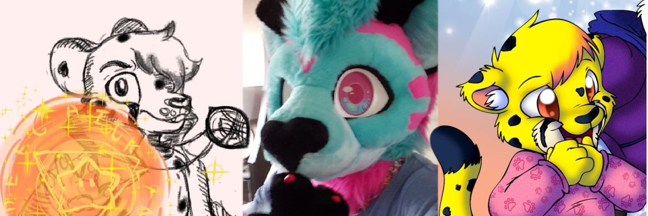 OnyxCheetah's profile banner image