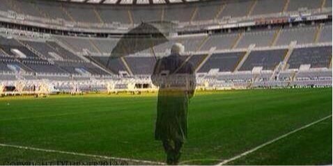 Rees banner