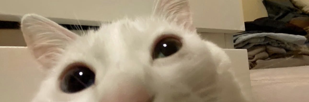 А тебе что с того banner