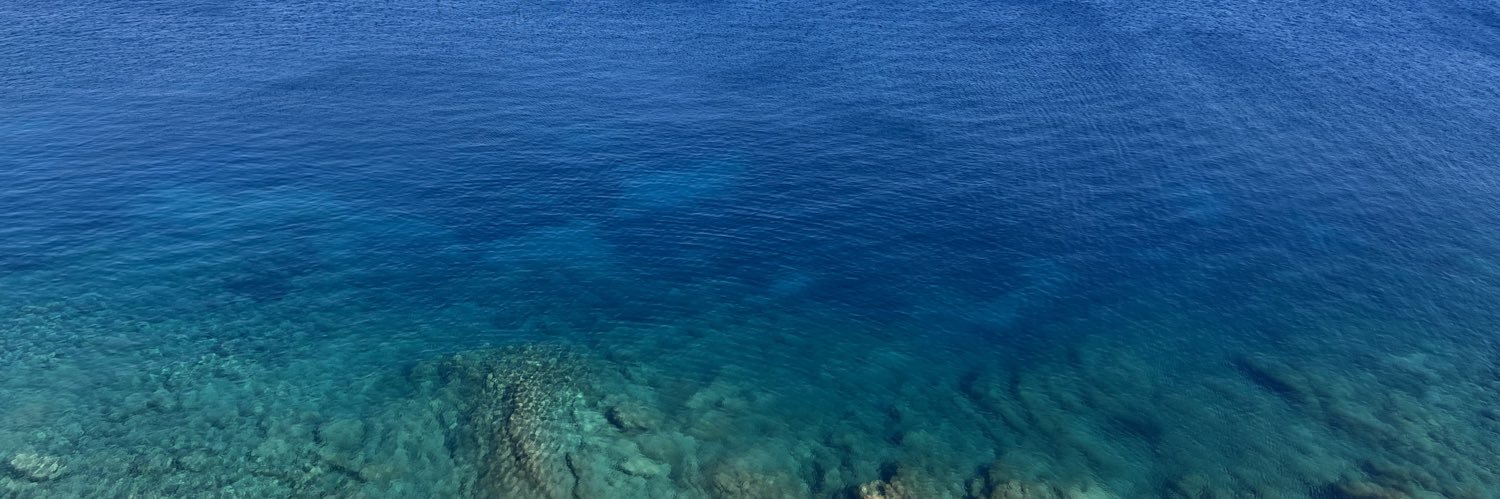 Androulla Kaminara's banner