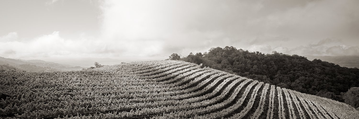 capturewines's profile banner image