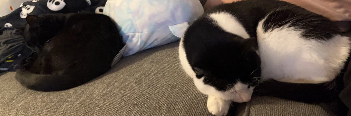 fxIixity's profile banner image