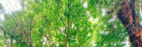 Badaralhatmi_'s profile banner image