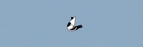largegaybird's profile banner image