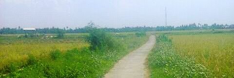 SochehSatria's profile banner image