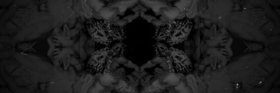 _Xamplified's profile banner image