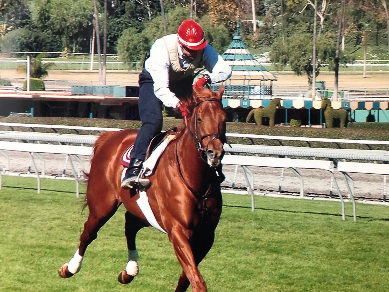 With the Works (@Racingwithbruno) / Posts / X
